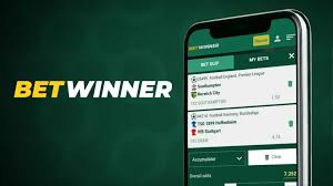 Complete Guide to Betwinner Withdrawal Process 2072688939