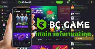 Exploring the BC App Casino A Guide to Online Gaming
