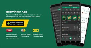 BetWinner Online Gambling Platform Your Ultimate Guide to Betting