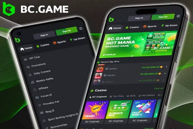 Download the BC.Game Plinko App Your Gateway to Thrilling Mobile Gaming Download the BC.Game Plinko App Your Gateway to Thrilling Mobile Gaming