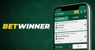 Explore the Exciting World of BetWinner Football Betting